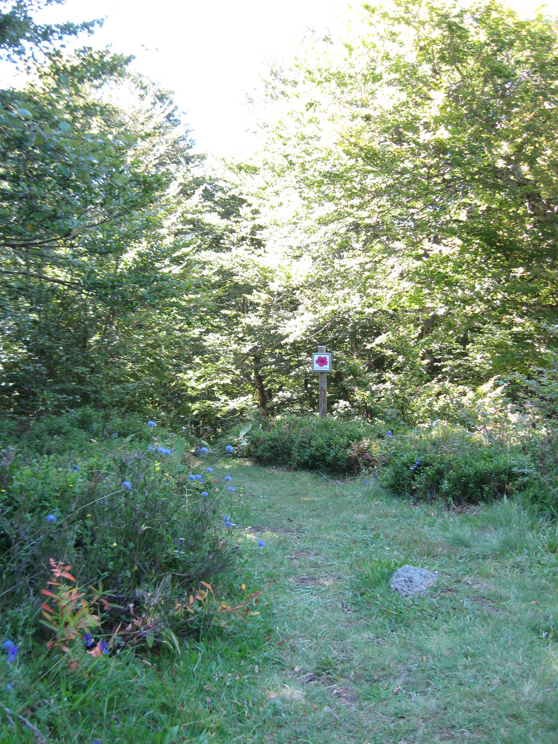 Photo du sentier botanique près de Laguiole