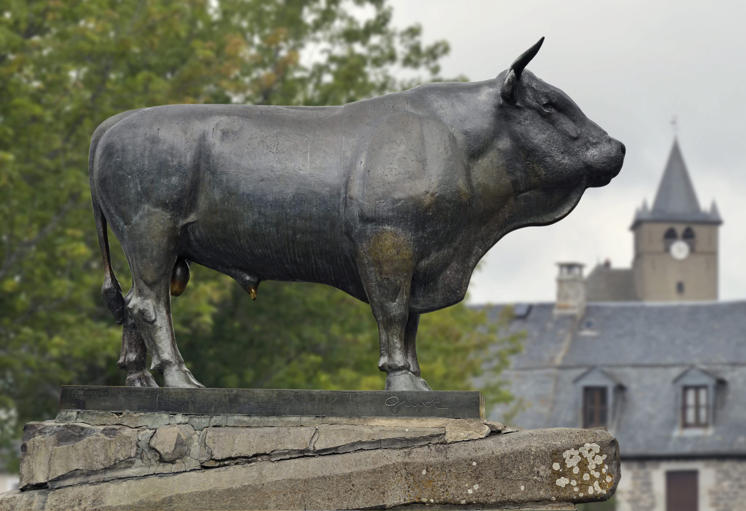 Taureau de Laguiole à Meravilles © OT Aubrac Laguiole