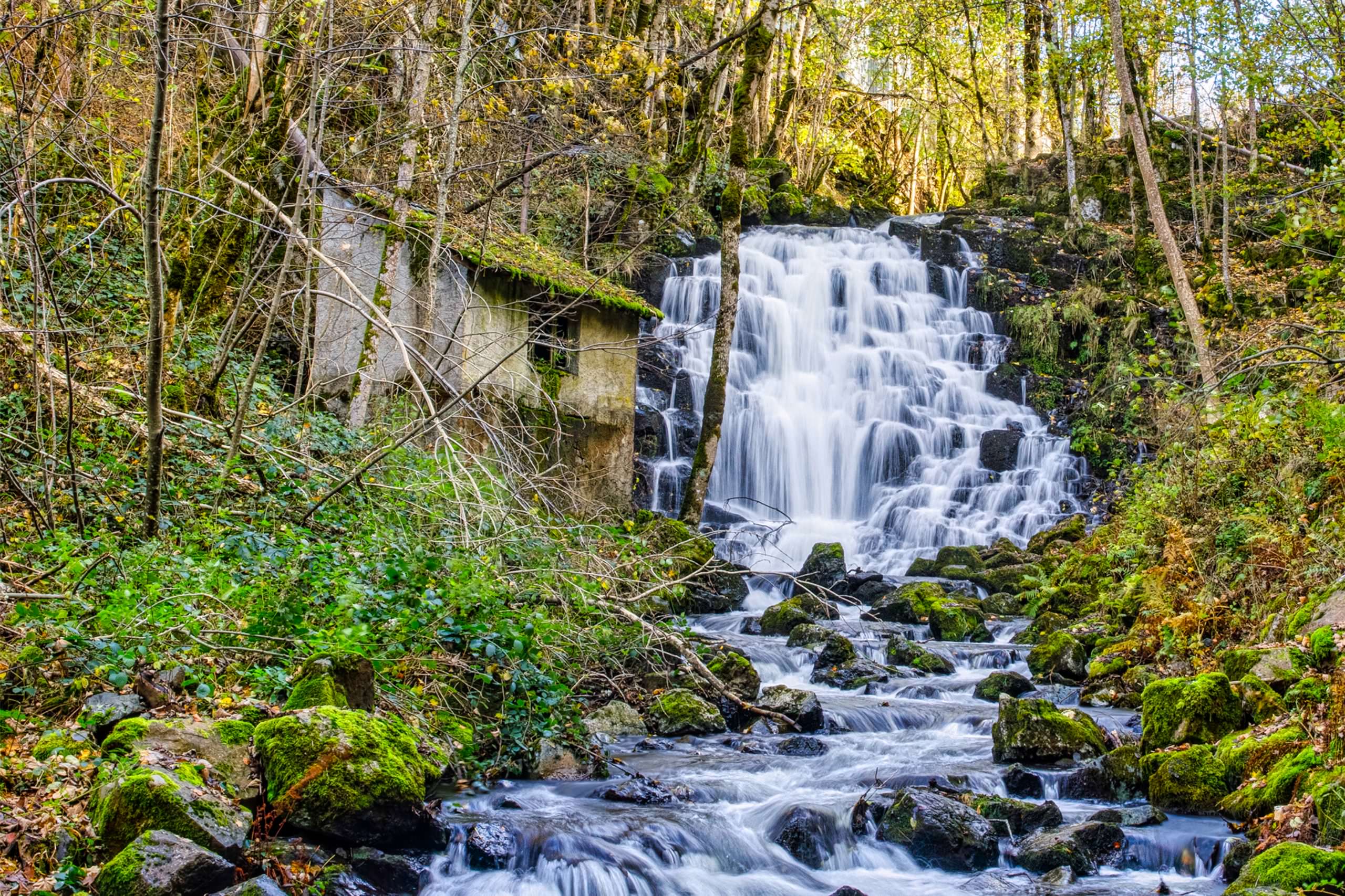 Lire la suite à propos de l’article Ressource en eau : restriction des usages domestiques