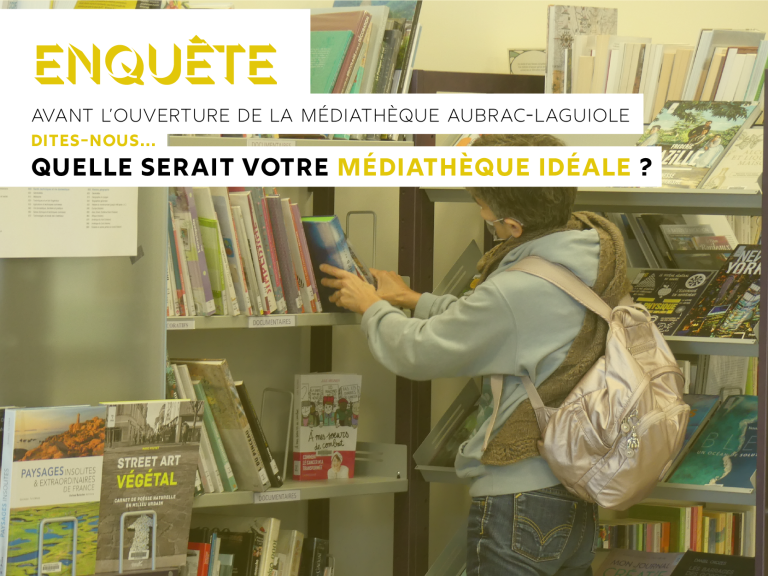 Enquête CCACV Médiathèque