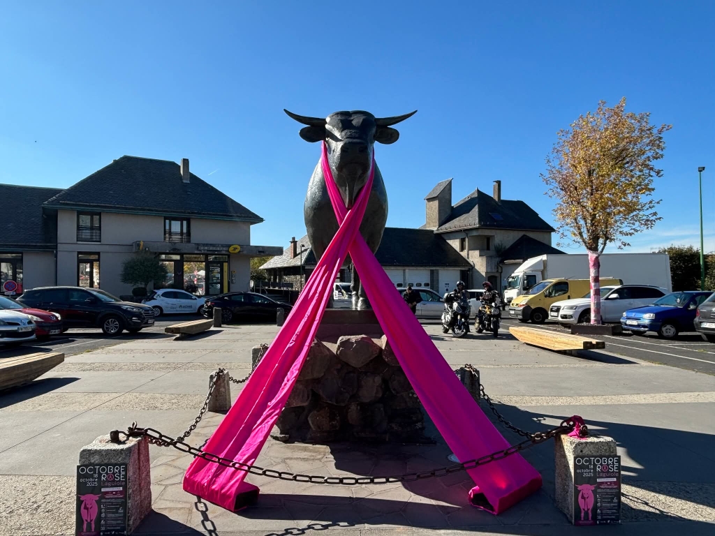 Lire la suite à propos de l’article Octobre Rose à Laguiole : la belle mobilisation de tout un village